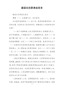 副县长任职表态发言