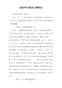 延安学习培训心得体会