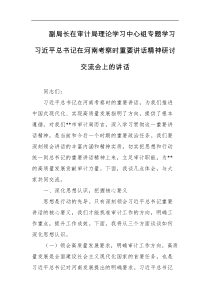 副局长在审计局理论学习中心组专题学习习近平总书记在河南考察时重要讲话精神研讨交流会上的讲话