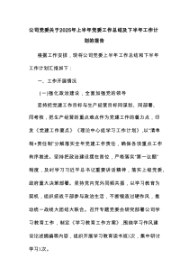 公司党委关于2025年上半年党委工作总结及下半年工作计划的报告