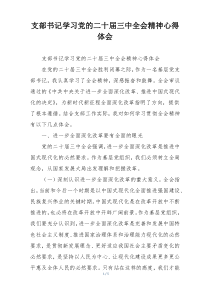 支部书记学习党的二十届三中全会精神心得体会