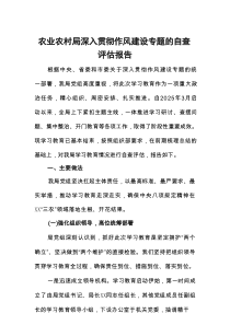 农业农村局深入贯彻作风建设专题的自查评估报告
