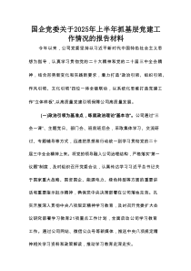 国企党委关于2025年上半年抓基层党建工作情况的报告材料