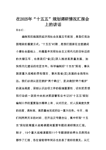 在2025年“十五五”规划调研情况汇报会上的讲话