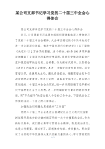 某公司支部书记学习党的二十届三中全会心得体会