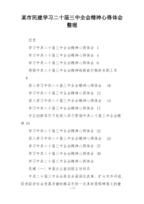 某市民建学习二十届三中全会精神心得体会整理