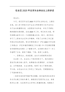 在全区2025年总河长全体会议上的讲话
