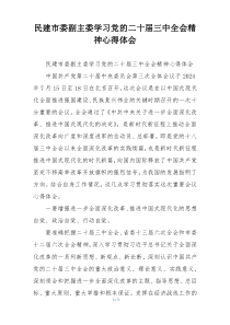 民建市委副主委学习党的二十届三中全会精神心得体会