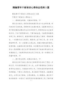 精编青年干部培训心得体会范例3篇