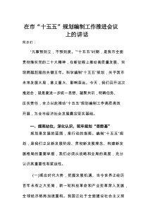 在市“十五五”规划编制工作推进会议上的讲话