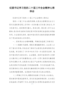 纪委书记学习党的二十届三中全会精神心得体会