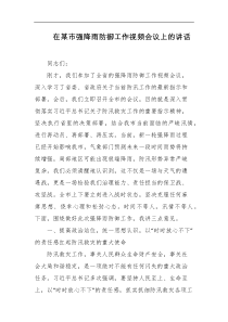 在某市强降雨防御工作视频会议上的讲话