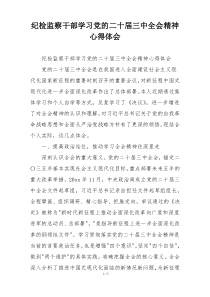 纪检监察干部学习党的二十届三中全会精神心得体会