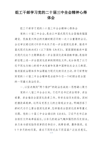 组工干部学习党的二十届三中全会精神心得体会