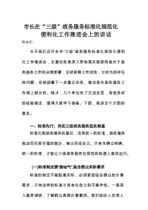 市长在“三级”政务服务标准化规范化便利化工作推进会上的讲话