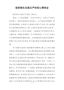 组织部长全面从严治党心得体会