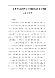 县委书记在六月份乡村振兴项目建设调度会上的讲话