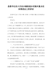 县委书记在六月份乡镇街道乡村振兴重点任务推进会上的讲话