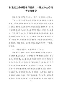 街道党工委书记学习党的二十届三中全会精神心得体会