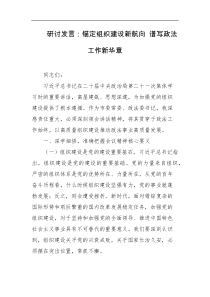 研讨发言锚定组织建设新航向谱写政法工作新华章