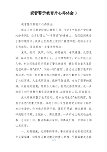 观看警示教育片心得体会3