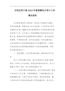 示范区审计局2024年度预算执行审计工作情况报告