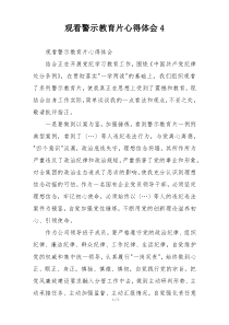 观看警示教育片心得体会4