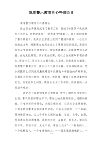 观看警示教育片心得体会5
