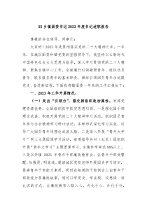 XX乡镇团委书记20XX年度书记述职报告
