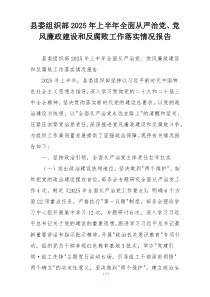 县委组织部2025年上半年全面从严治党、党风廉政建设和反腐败工作落实情况报告