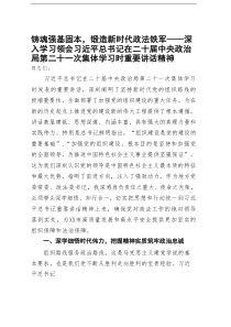 铸魂强基固本，锻造新时代政法铁军——深入学习领会习近平总书记在二十届中央政治局第二十一次集体学习时重