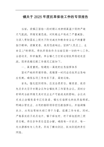 镇关于2025年度抗旱保收工作的专项报告