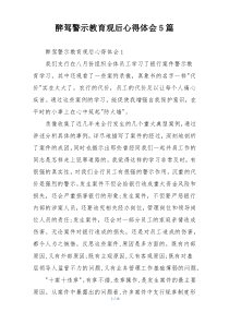 醉驾警示教育观后心得体会5篇