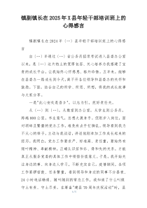 镇副镇长在2025年X县年轻干部培训班上的心得感言