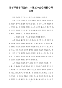 青年干部学习党的二十届三中全会精神心得体会