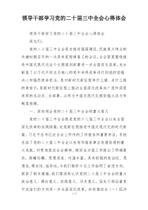 领导干部学习党的二十届三中全会心得体会