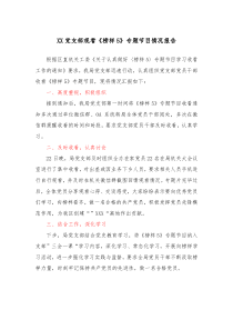 XX党支部观看榜样5专题节目情况报告