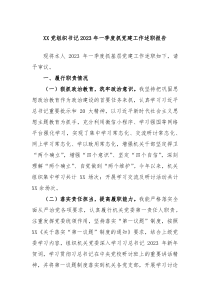XX党组织书记20XX年一季度抓党建工作述职报告