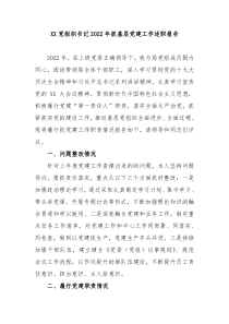 XX党组织书记20XX年抓基层党建工作述职报告