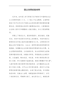 国企改革经验材料