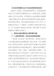 XX区医疗保障局20XX年法治政府建设情况报告