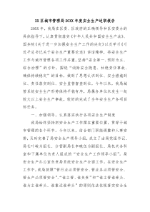 XX区城市管理局20XX年度安全生产述职报告