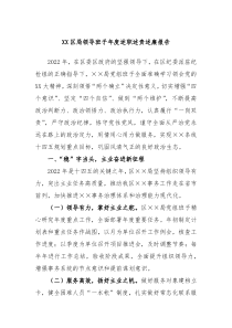 XX区局领导班子年度述职述责述廉报告