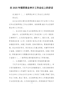 在2025年烟草商业审计工作会议上的讲话