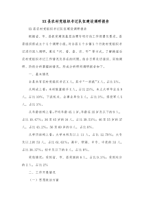 XX县农村党组织书记队伍建设调研报告