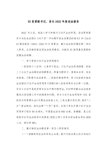 XX县委副书记县长20XX年度述法报告