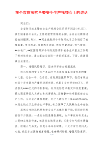 在全市防汛抗旱暨安全生产视频会上的讲话
