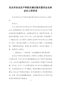在全市安全生产和防灾减灾救灾委员会全体会议上的讲话
