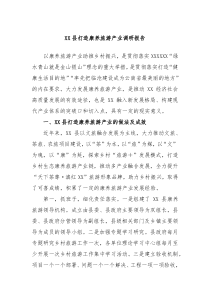 XX县打造康养旅游产业调研报告