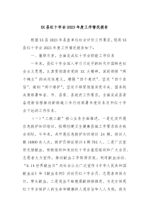 XX县红十字会20XX年度工作情况报告